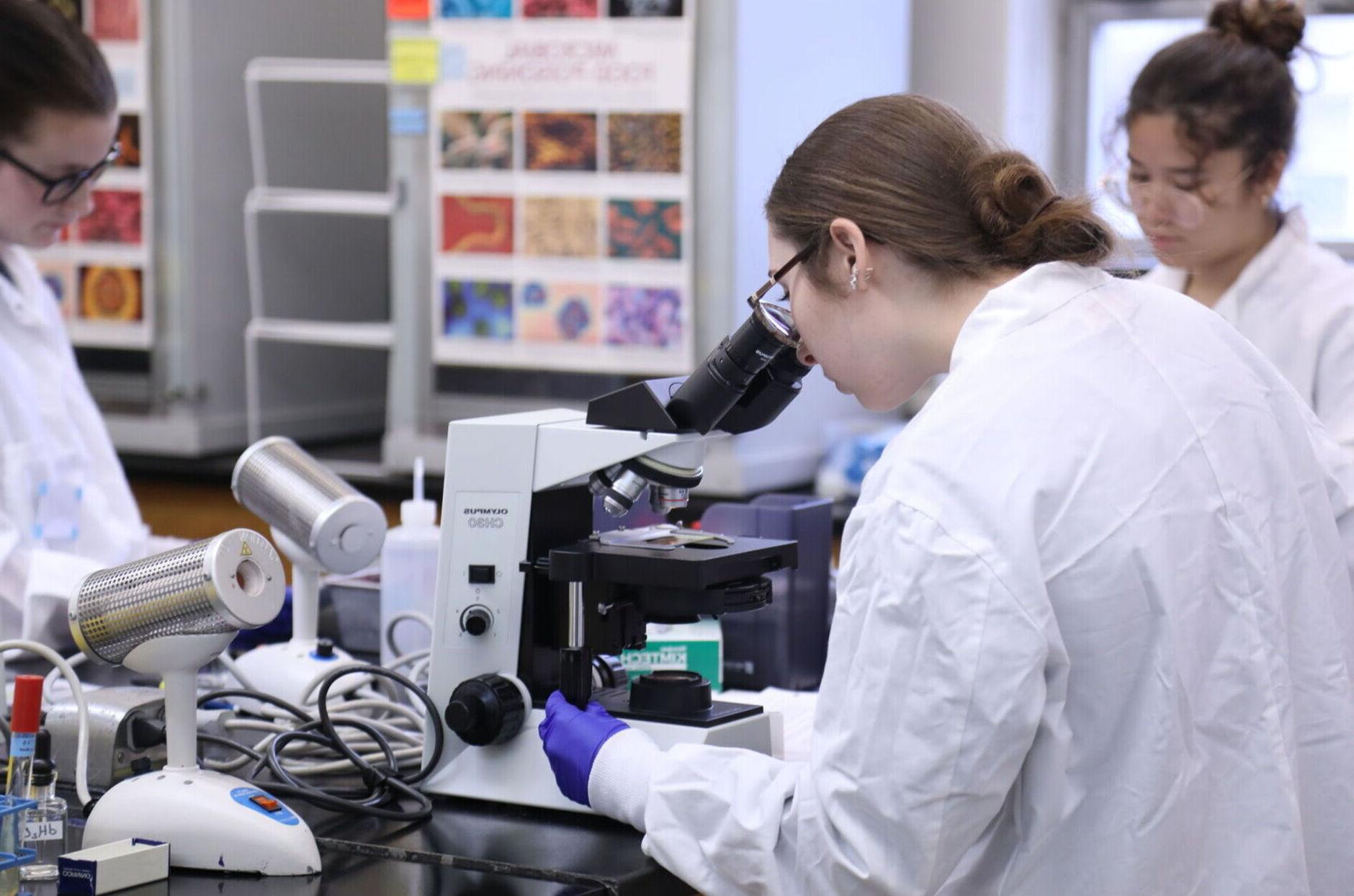 A student looks through a microscope in a laboratory